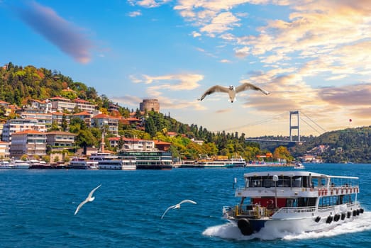Ship is sailing in the the Bosphorus Straight by Bebek neighborhood, Istanbul, Turkey.