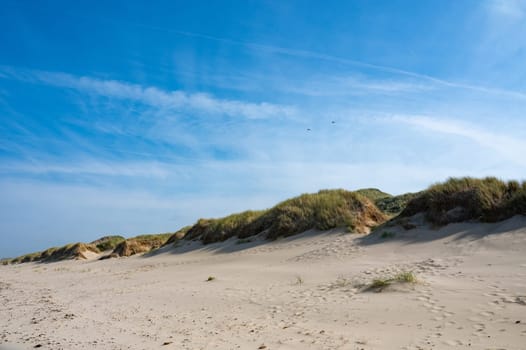 Sandy beach and dunes on the North Sea coast in the Netherlands