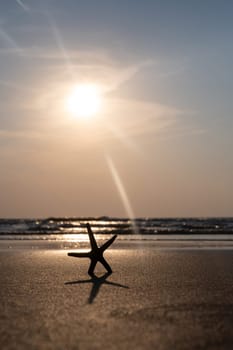 A starfish in the sand on a beach in front of the ocean waves at sunset