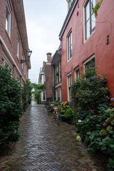 Small cozy alley with green plants on the houses in the old town of Alkmaar in the Netherlands