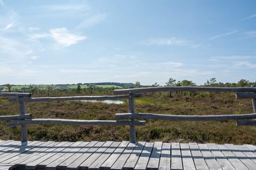 Black moor in the Rhoen, Bavaria, Germany, in summer  with Heather and  a new moor path