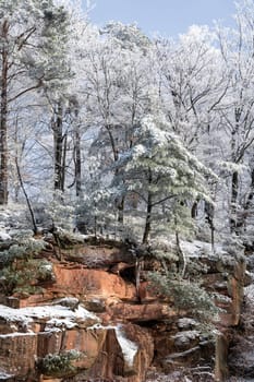 Rock wall with icicles on a cold winter day with lots of snow, blue sky  and snow-covered trees