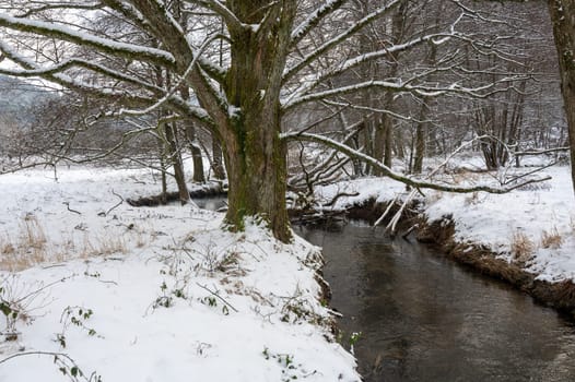 River landscape in winter with tree and  lots of snow
