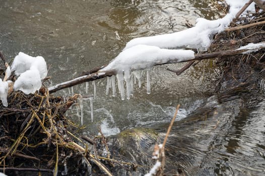 Icicles hang from a branch above the water of a small river