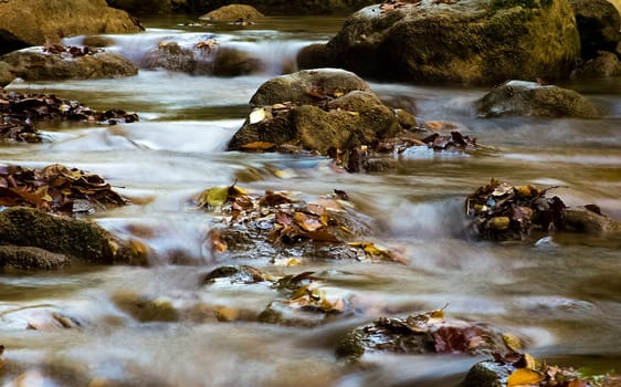 Mountain small river in the forest with rapids and waterfalls. A forest creek.