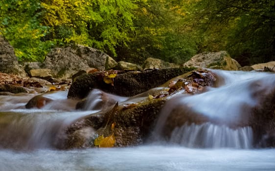 Mountain small river in the forest with rapids and waterfalls. A forest creek.