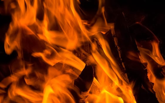 Fire of fire, burning logs of firewood.