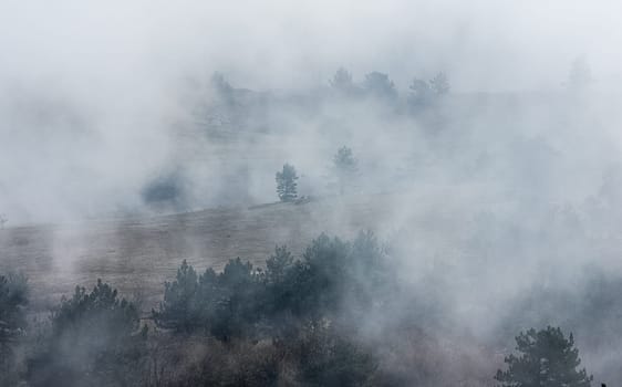 Low clouds over the valley, view from the mountains. Low clouds.