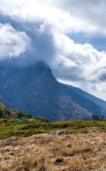 Mountains and forests of Crimea. coniferous and deciduous trees on the hills of the mountains and rocks