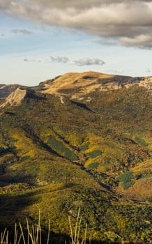 Mountains and forests of Crimea. coniferous and deciduous trees on the hills of the mountains and rocks