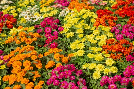 Thai agricultural produce to be exhibited at the fair, stock photo