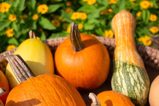 Thai agricultural produce to be exhibited at the fair, stock photo