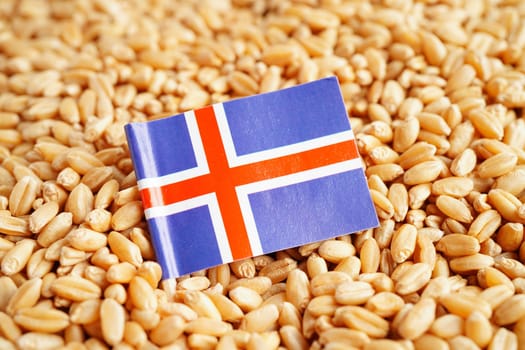 Iceland flag on grain wheat, trade export and economy concept.