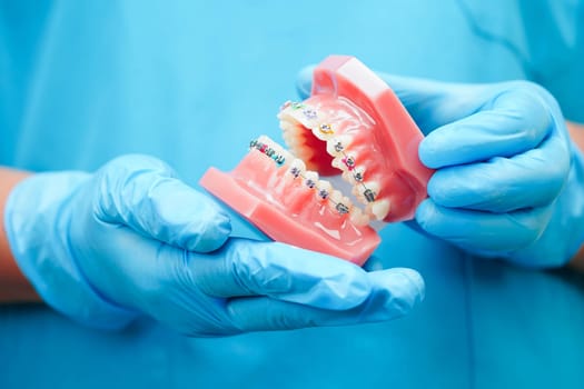 Asian dentist holding dental teeth model for learn about dentistry.