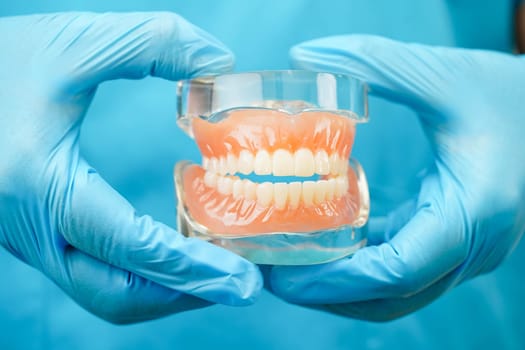 Asian dentist holding dental teeth model for learn about dentistry.