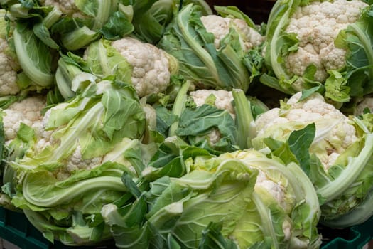 A pile of green cauliflower. The cauliflower is fresh and ready to be eaten