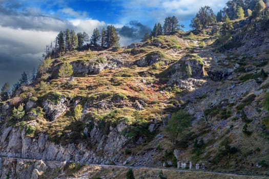 A rocky hillside with trees and a cloudy sky. Scene is somewhat somber and peaceful