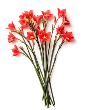 A bouquet of vibrant red flowers with long green stems arranged neatly, perfect for decoration or gifting on special occasions.