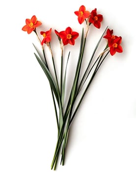 Vibrant red flowers with green leaves are artistically arranged, showcasing their rich colors and natural beauty, perfect for decoration.