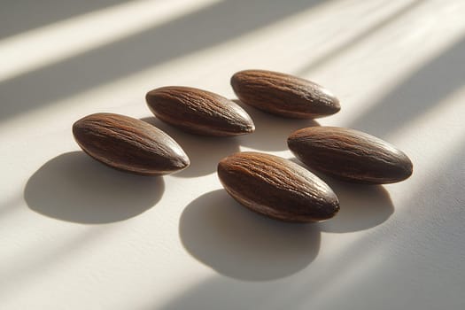 Five smooth, brown seeds rest on a bright surface, casting delicate shadows as sunlight filters through nearby objects.