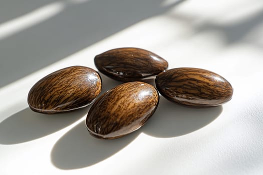 Four brown seeds with striking patterns rest on a light surface, showcasing their glossy texture and natural beauty in soft natural light.