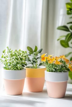 Three potted plants with vibrant flowers and greenery sit on a bright windowsill, illuminated by natural sunlight.