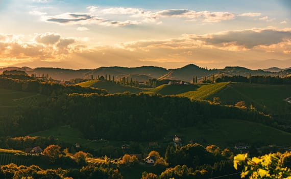 Vineyards panorama along Styrian wine road, Austria Europe. Panoramic background