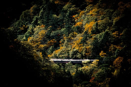 A village between the 8,000 mountains. Shooting Location: Gunma Prefecture
