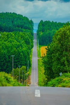 Hokkaido long road and nature. Shooting Location: Hokkaido Biei-cho