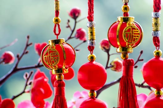 Outdoor view of Chinese New Year celebration.