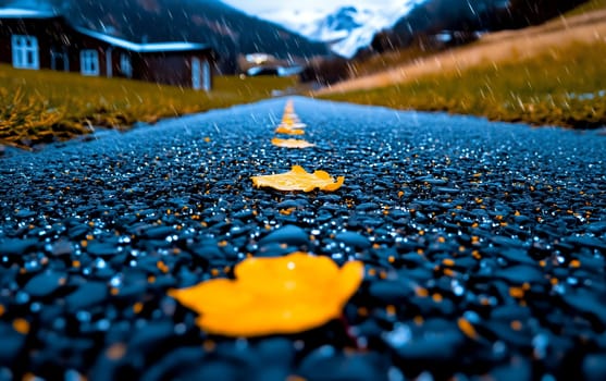 Autumn leaves on wet country road under rainy sky in mountainous landscape.