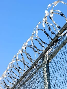 Barbed wire fence for security and protection boundary