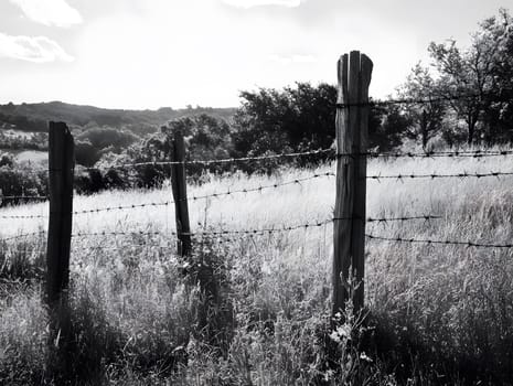 Barbed wire fence for security and protection boundary