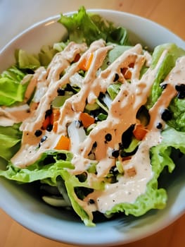 Tasty Mixed Salad vegetables with American Dressing meal dish