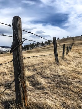 Barbed wire fence for security and protection boundary