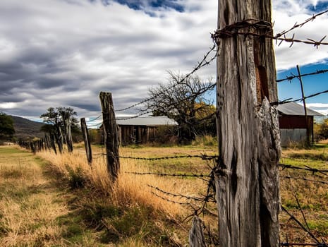 Barbed wire fence for security and protection boundary