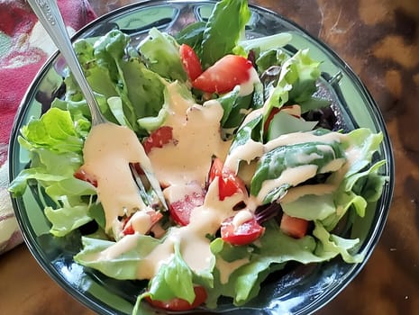 Tasty Mixed Salad vegetables with American Dressing meal dish