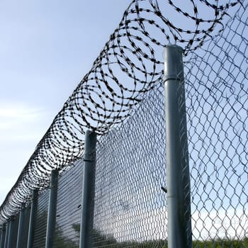 Barbed wire fence for security and protection boundary