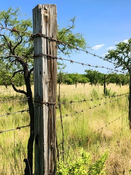 Barbed wire fence for security and protection boundary