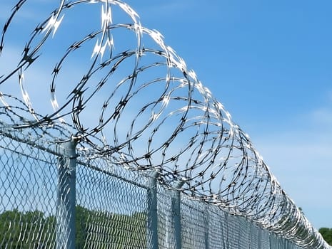 Barbed wire fence for security and protection boundary