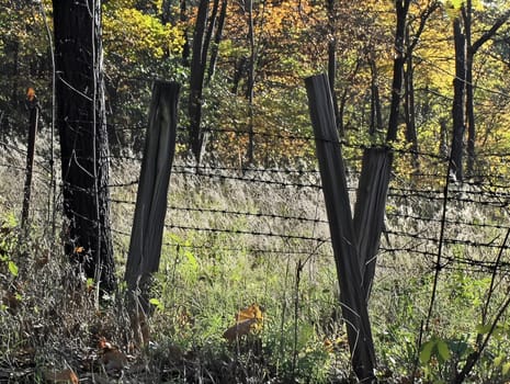 Barbed wire fence for security and protection boundary
