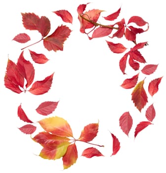 Wreath of yellow and red leaves on isolated background, copy space