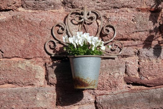 Blumentoepfe an einer Mauer