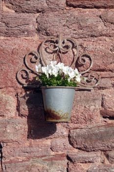 Blumentoepfe an einer Mauer