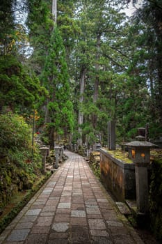 Stone path leading through okunoin cemetery in mount koya, japan