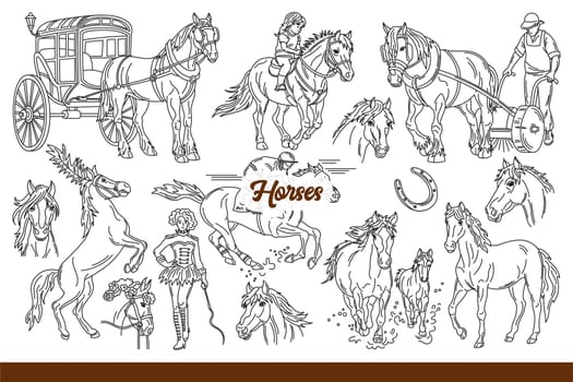Horses performing in circus or working on plantation and riding children around park with people who love animals. Domesticated horses and wild stallions with long manes or horseshoes. Hand drawn.