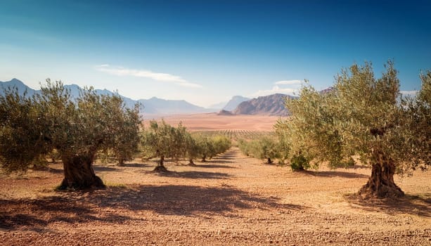 natural scene with olive trees, AI generated image