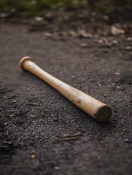 Wooden baseball game bat athlete sports lifestyle