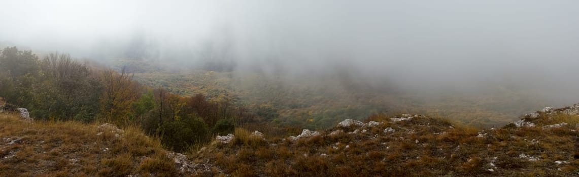 Autumn forest in the mountains of Crimea, autumn nature in the forest.