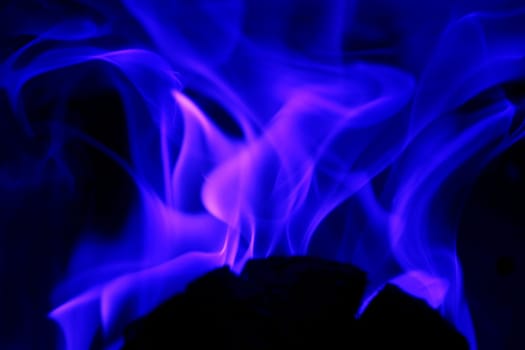 Flames from a fire in blue and pink against a black background